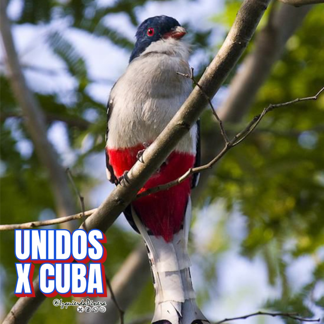 Mi corazón late al ritmo de la Revolución Cubana. #UnidosXCuba #IzquierdaPinera