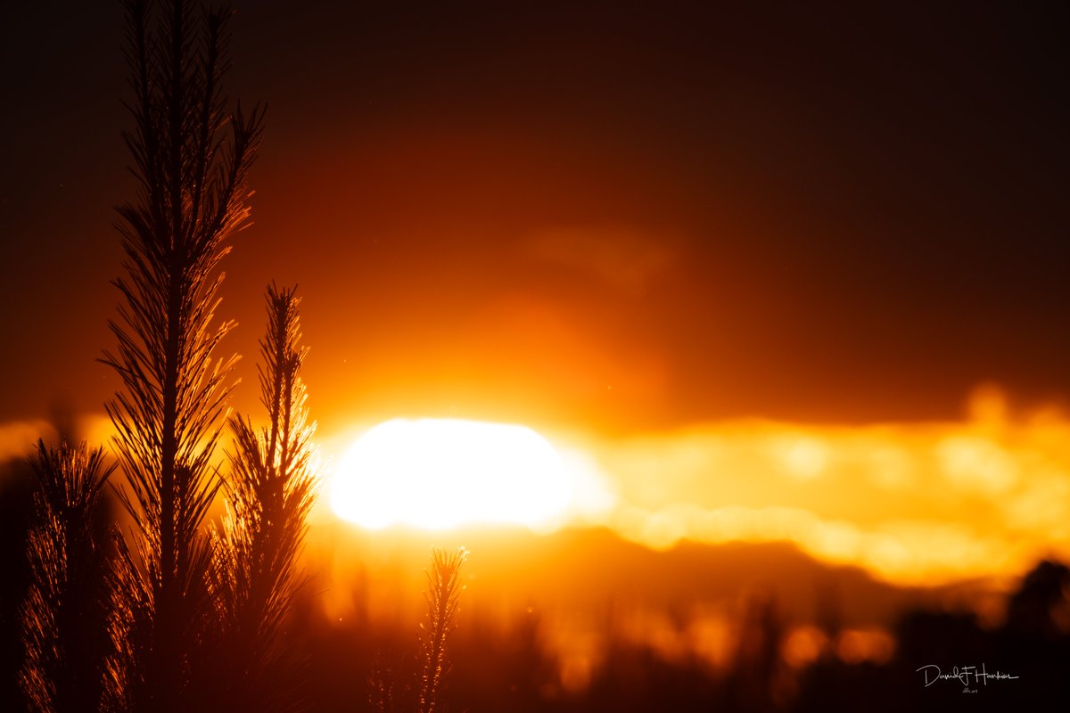 dave (@dfh_art) on Twitter photo 