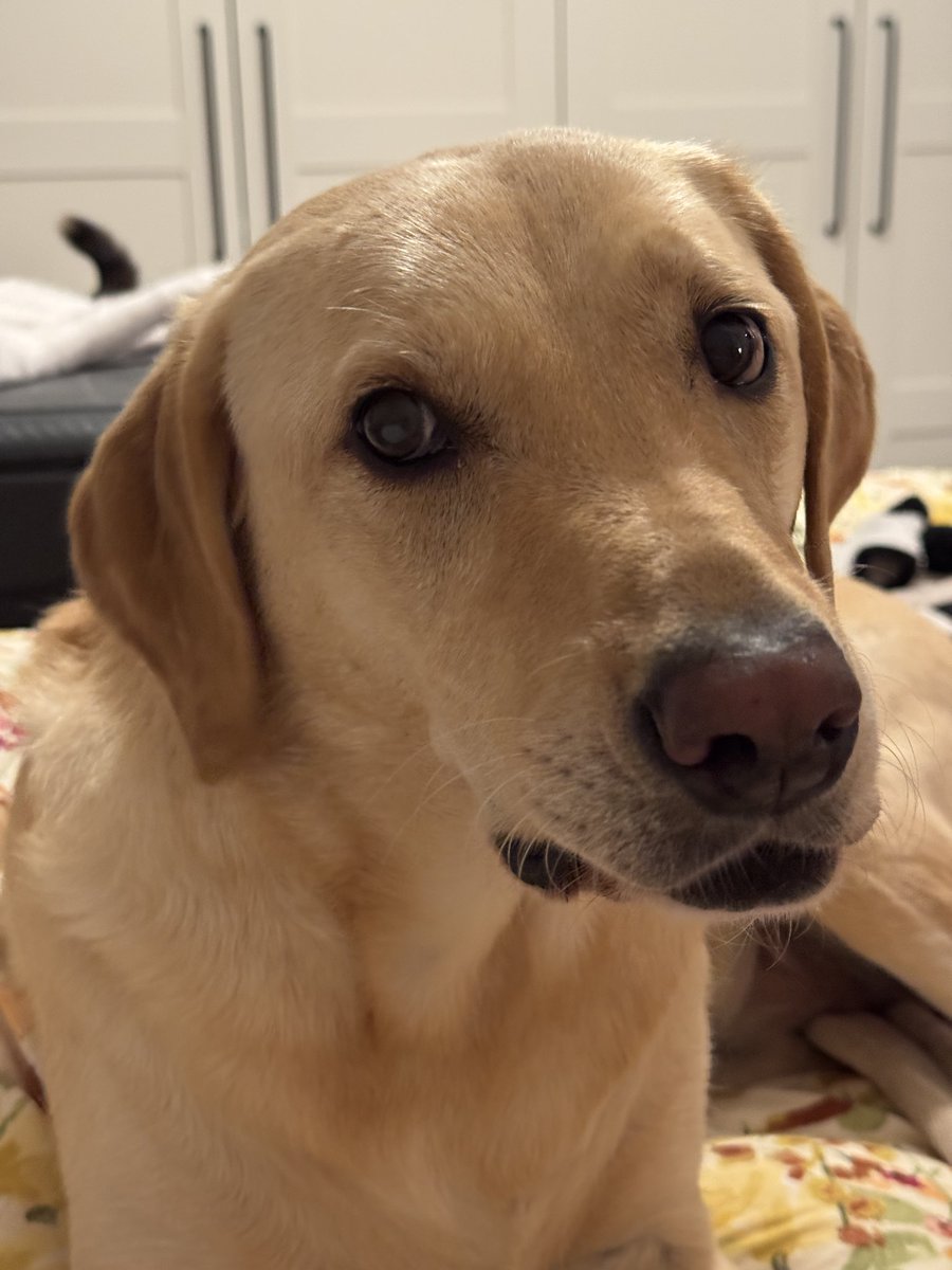 Matt Loftus tweet media