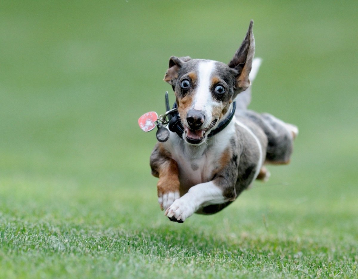 General note:
Enthusiasm is not a random mood; it's a daily choice.