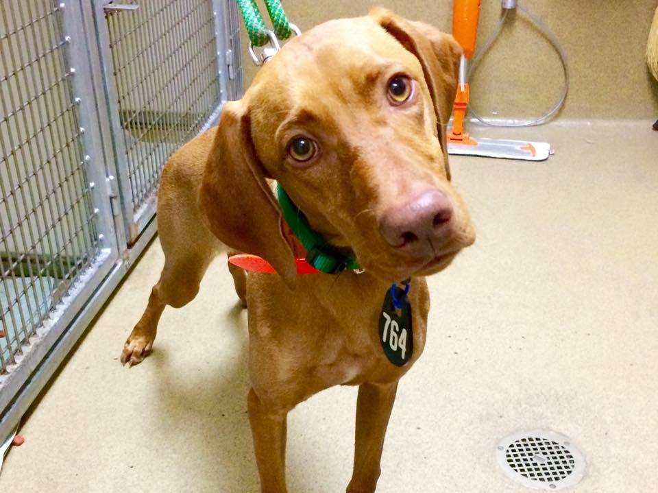 Teri Peters tweet media