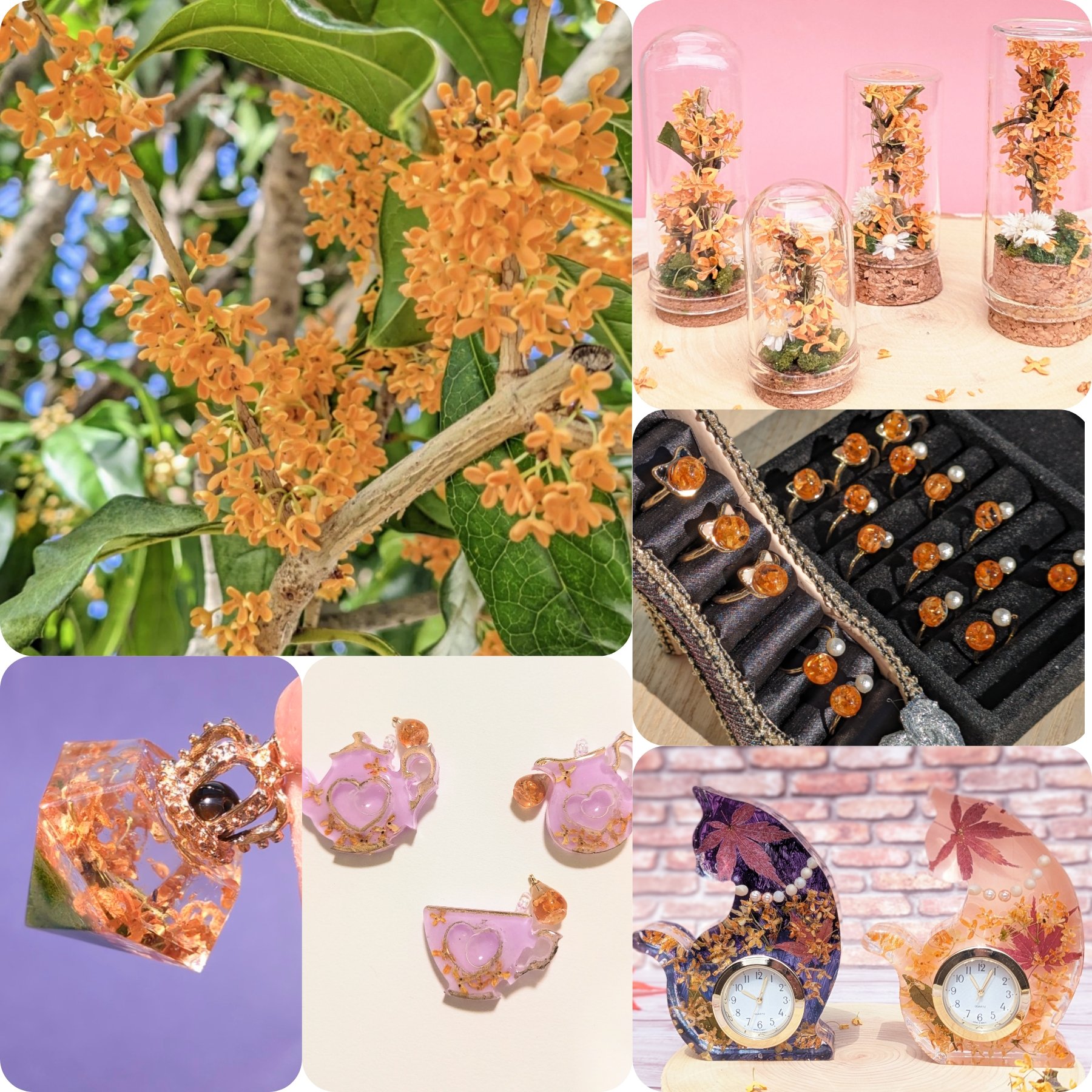 ドラポリゴン　パープル×金ラメ　デザフェス限定 ドラポリゴン パープル×金ラメ デザフェス限定