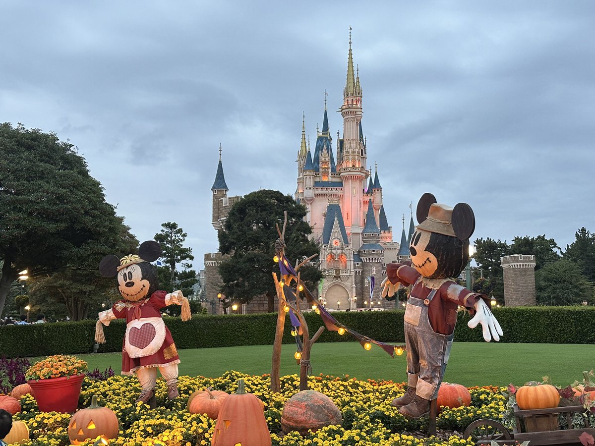 kariyandayo's tweet photo. ハロウィーン🎃 https://t.co/9v5zH70ZjQ