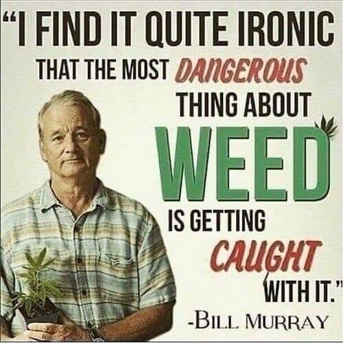 Just saying...🌿💚