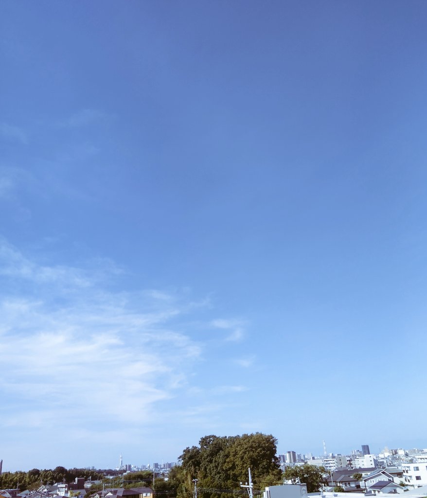 5EvHIqhDK6h3c2B's tweet photo. すっきり晴れた青空
お花も映えますね☺️
中居くん好きなものたくさん食べられてますか。
逢いたい想いはつのります
#中居くん大好き💕
#000f https://t.co/AFbOSB9obQ