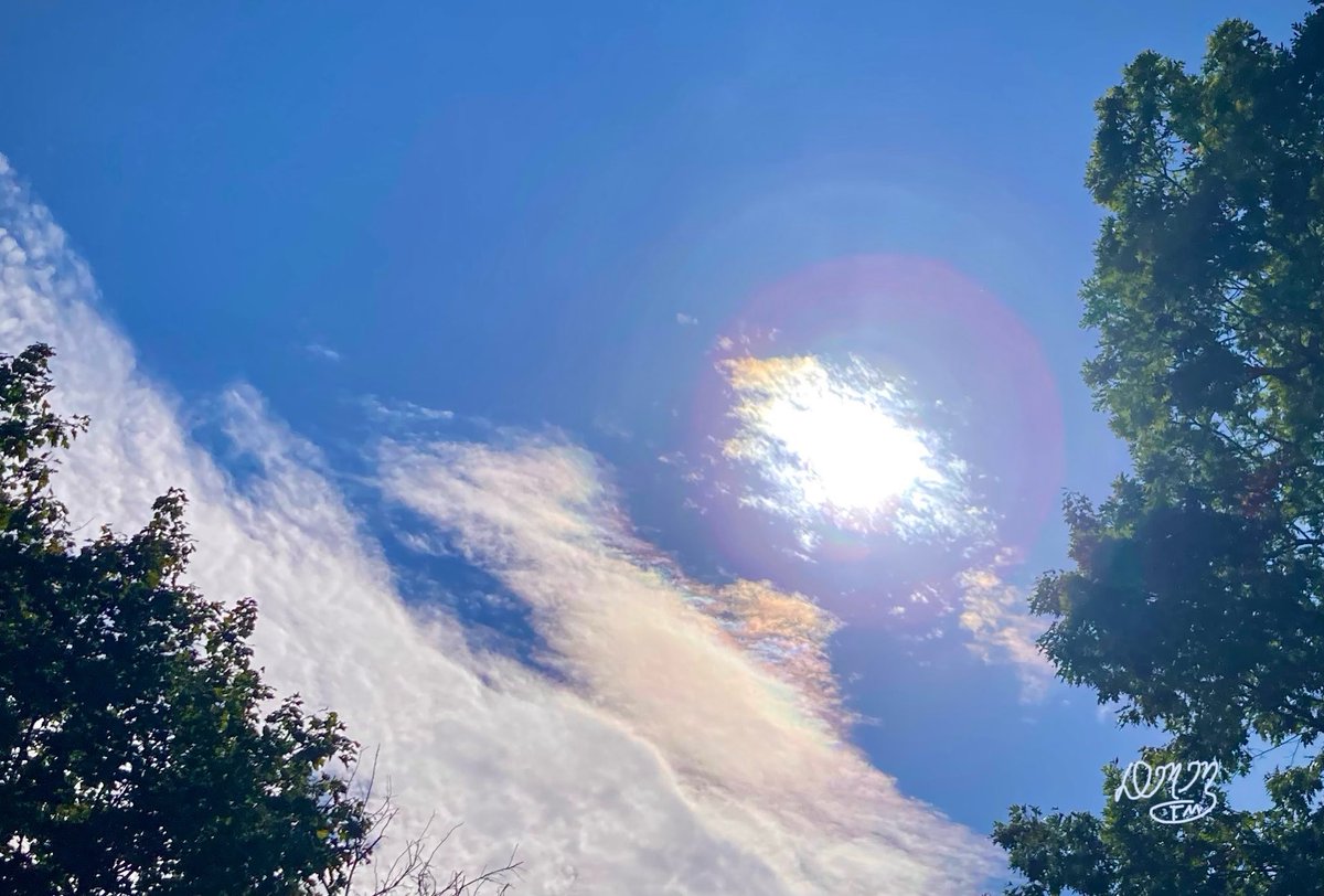 Allone34789's tweet photo. Pastels in the sky. #NaturePhotography #clouds
#Naturephotography #Tuesday
#photography #Photography
#nature #fall #sun #suncolors
#sky #outside #seasons #October #naturesbeauty #skyphotography https://t.co/1CsCIwFpt0
