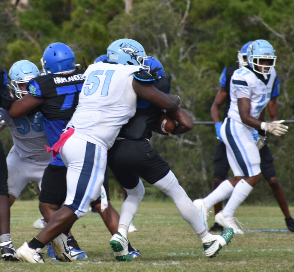 New South Athletic Conference tweet media