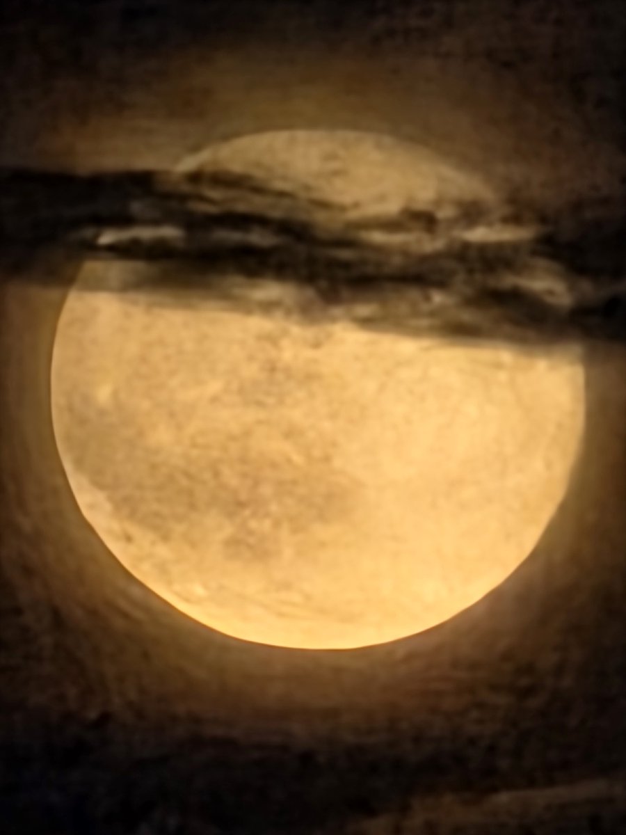 DanielEEdmonds's tweet image. 