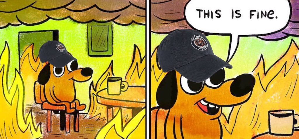 detroit tigers baby tweet media