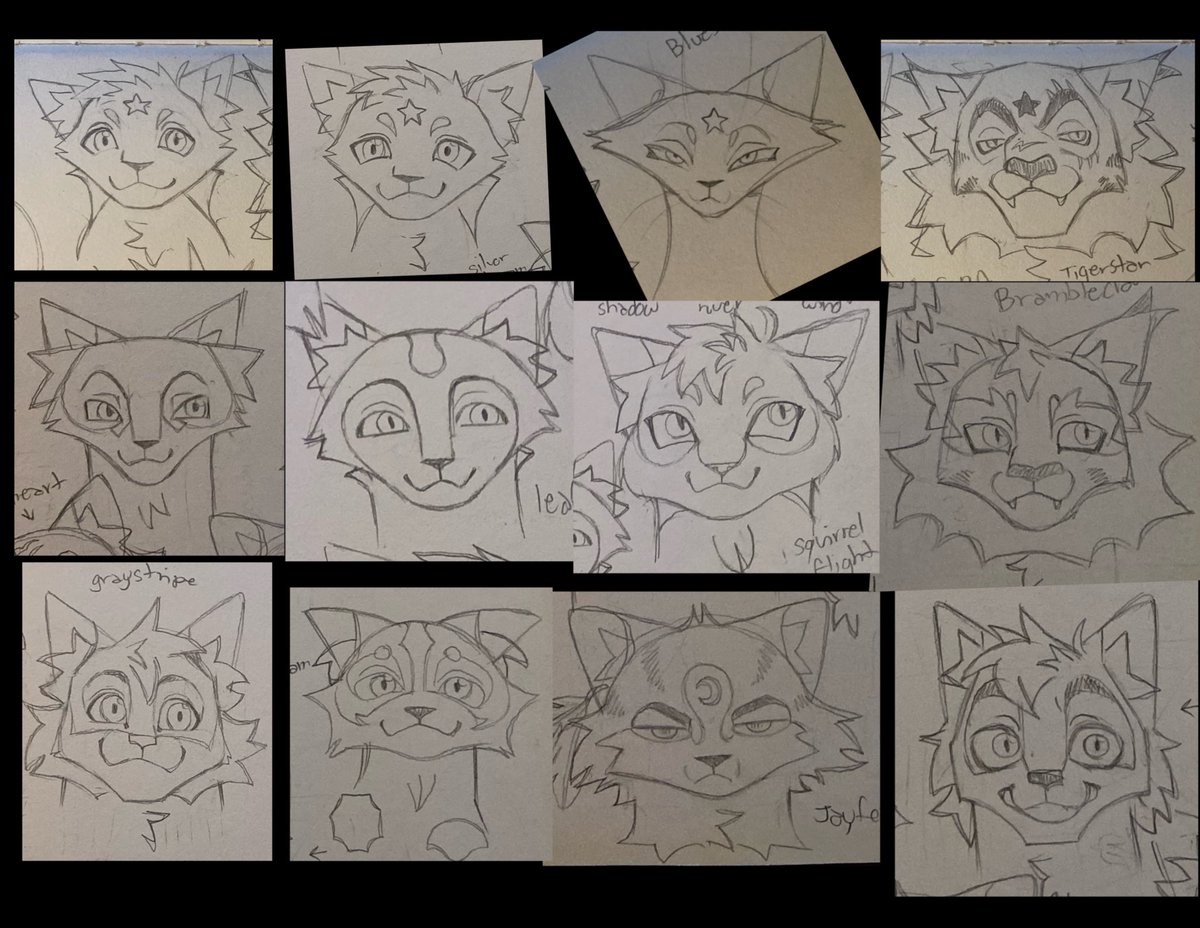 Drew some warrior cats