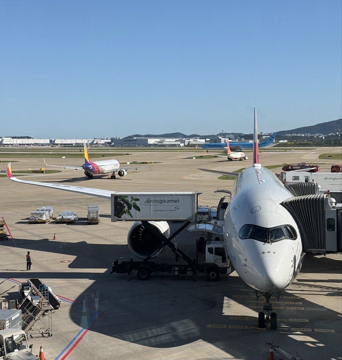 3_1975726000421187584