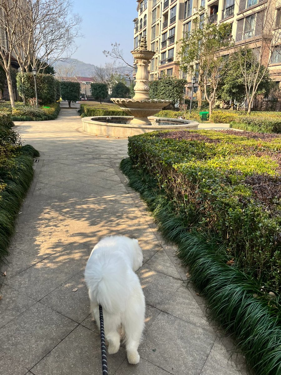 Codiecewser's tweet image. 陽光の下で影は長く伸び、私たちの物語も道の上でゆっくりと続いていく。📜