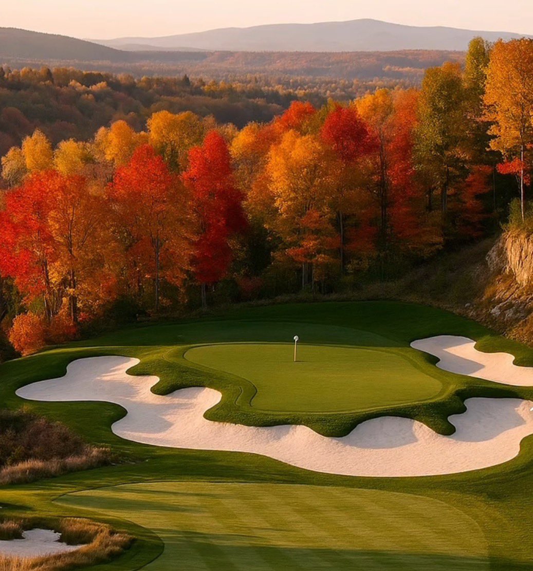 Tour Golf (not PGA Tour) tweet media