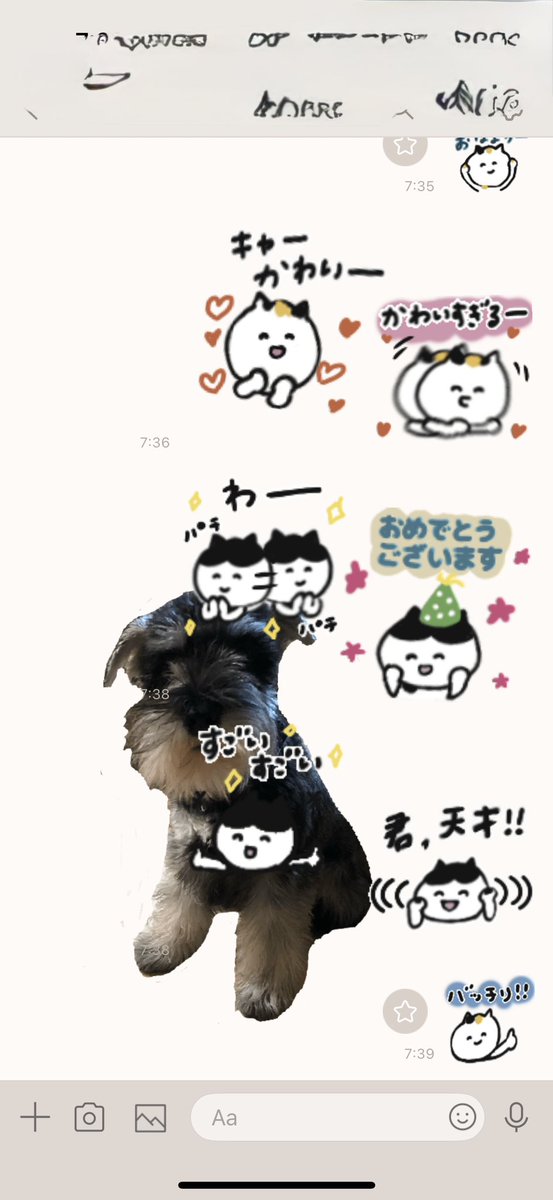 ラスト！最大級の大きさ！お尻の断面が面白いスタンプ・スパイダー 毎週更新♪注目のスタンプ - ピックアップ | LINE STORE