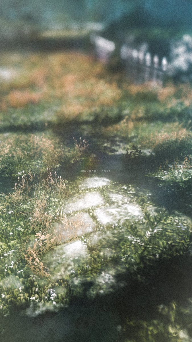 足元を眺めてみる⋆˙⊹

┋#FF14風景 #FF14SS ◈