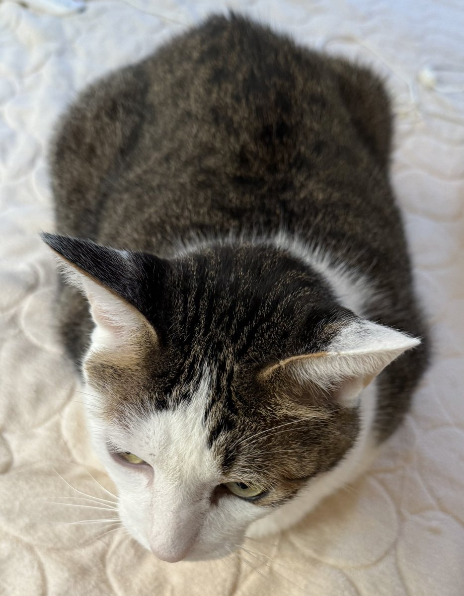 식빵 한 덩어리? 아니 깜빠뉴 한 덩어리인가😅