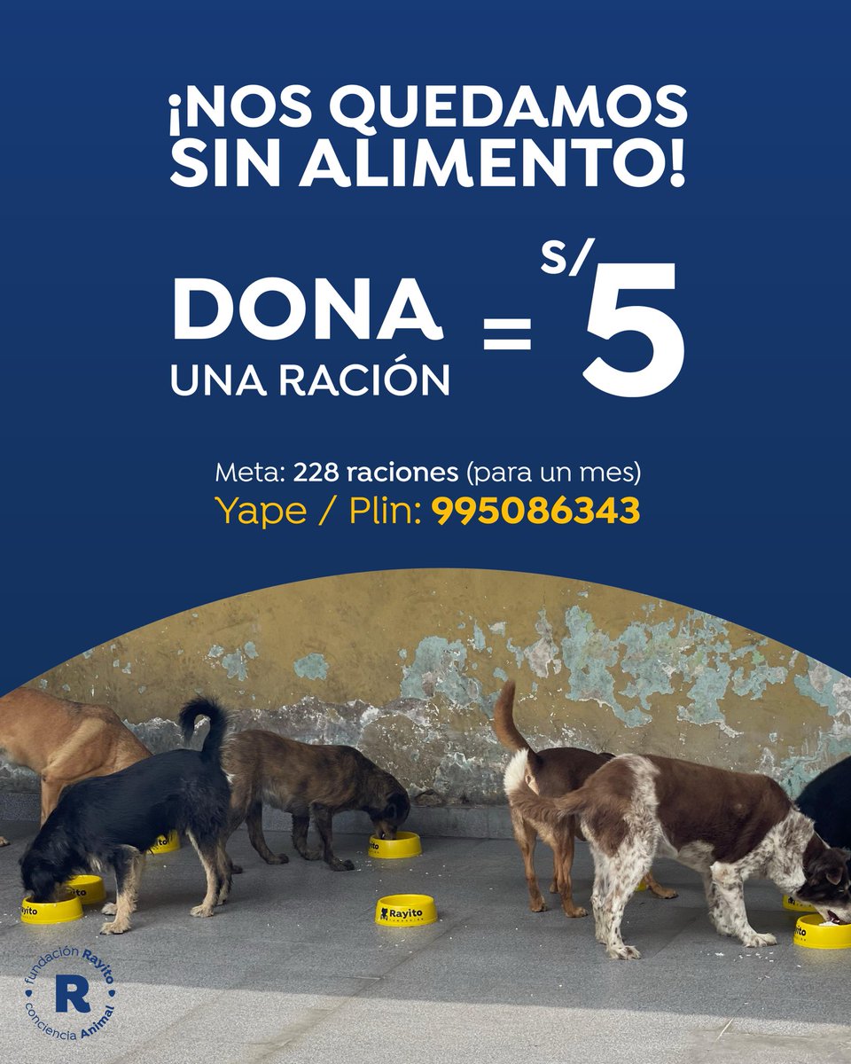 NECESITAMOS S/500 PARA HACER EL PRIMER PEDIDO DE ALIMENTO ESPECIAL PARA RESCATADOS CON DIFERENTES DIAGNÓSTICOS.

Toda ayuda suma
Yape/Plin 995086343 
Muchas gracias.