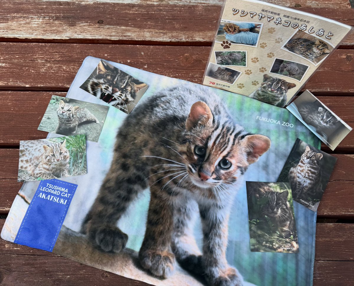 オンライン・店頭ともにSOLDOUTで、ずっと再入荷待ってたので嬉しい