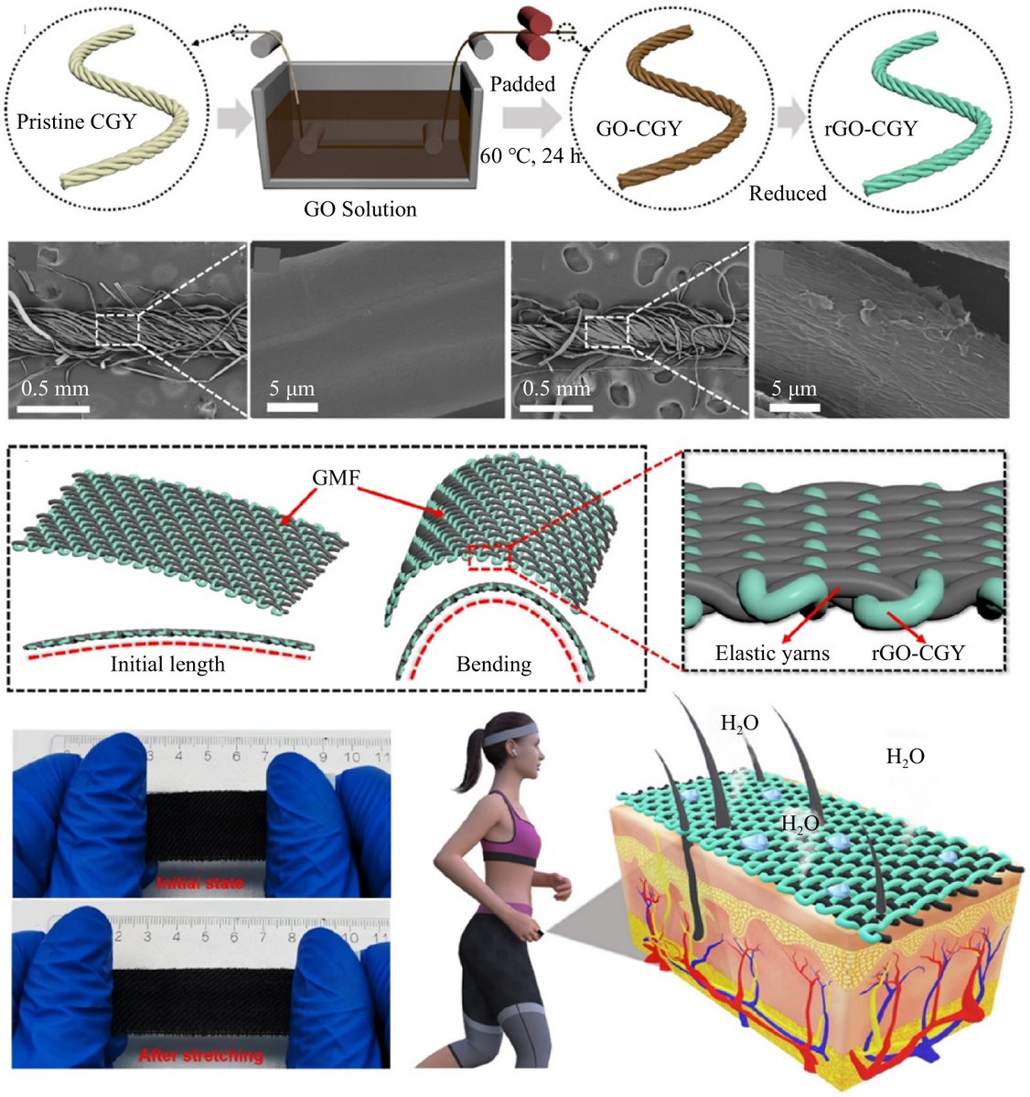 #CAS #Biodegradable #FunctionalMaterials
Research progress in development and application of #Calotropis #gigantea #fiber.
<a href="/MaximumAcademic/">Maximum Academic</a>

Details: loom.ly/VmsL0co