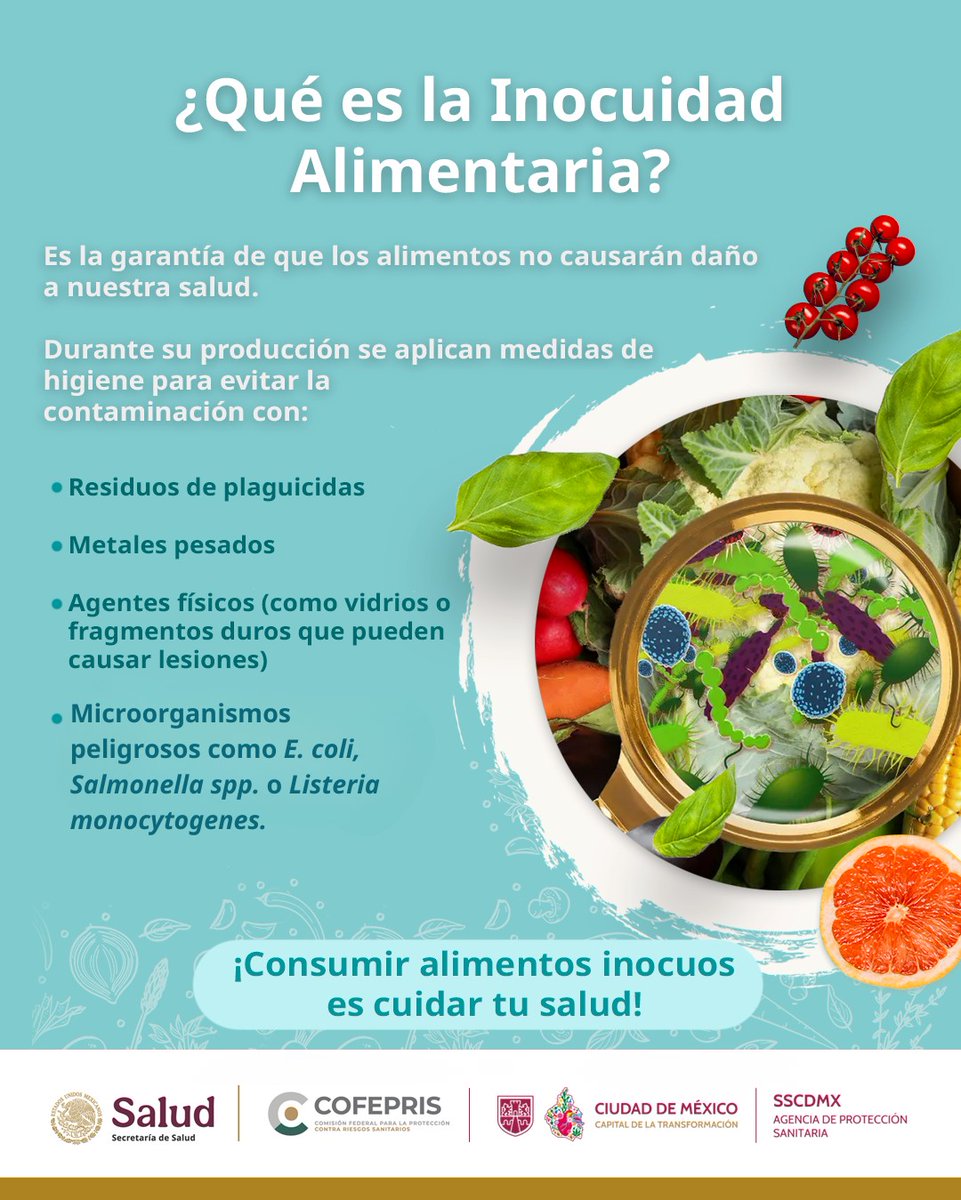 AGSANITARIA's tweet image. #Afecta la digestión, hígado y sistema inmunológico, arriesgándote a:
🤮Síntomas gastrointestinales.
🧠Problemas neurológicos.
😖Daños renales.
🤒Problemas inmunológicos a largo plazo.

Una #MalaConserva consta de temperatura no adecuada y contacto entre comida cruda-cocida.

2/2