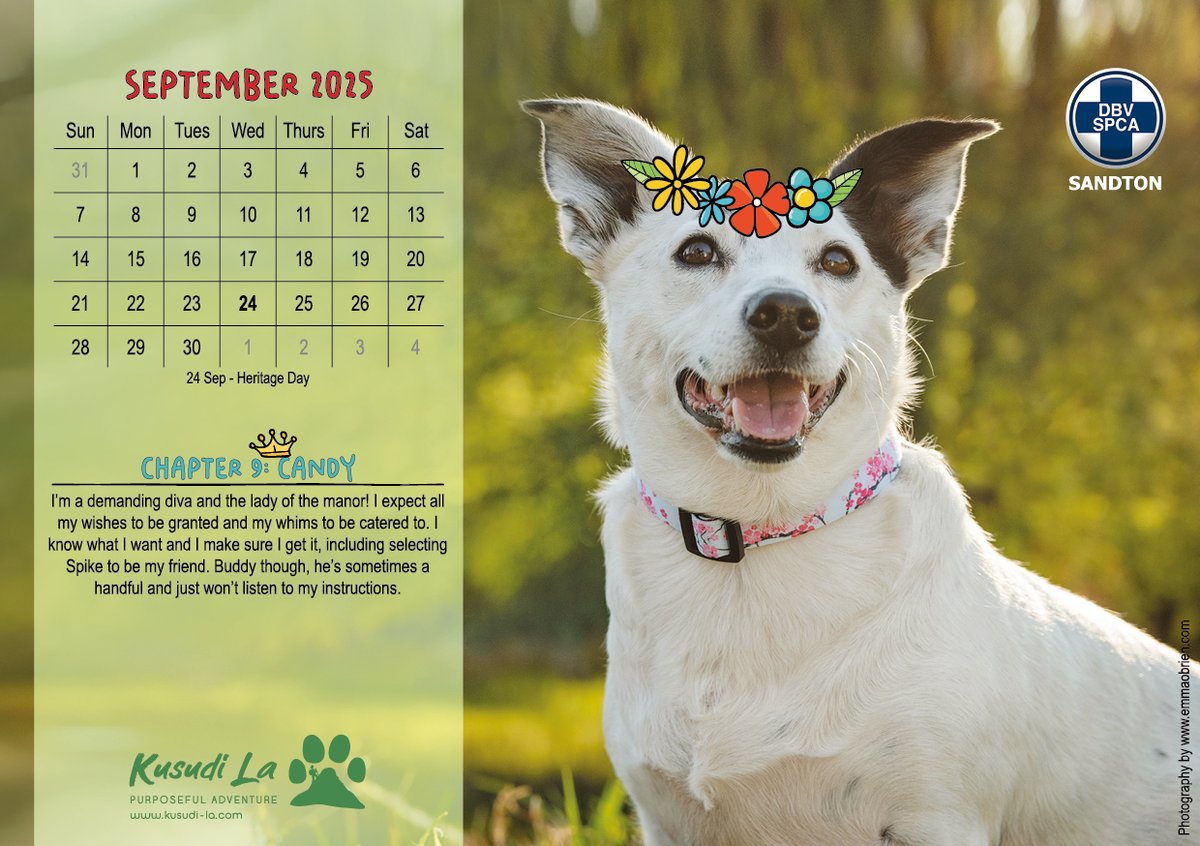 Sandton SPCA tweet media