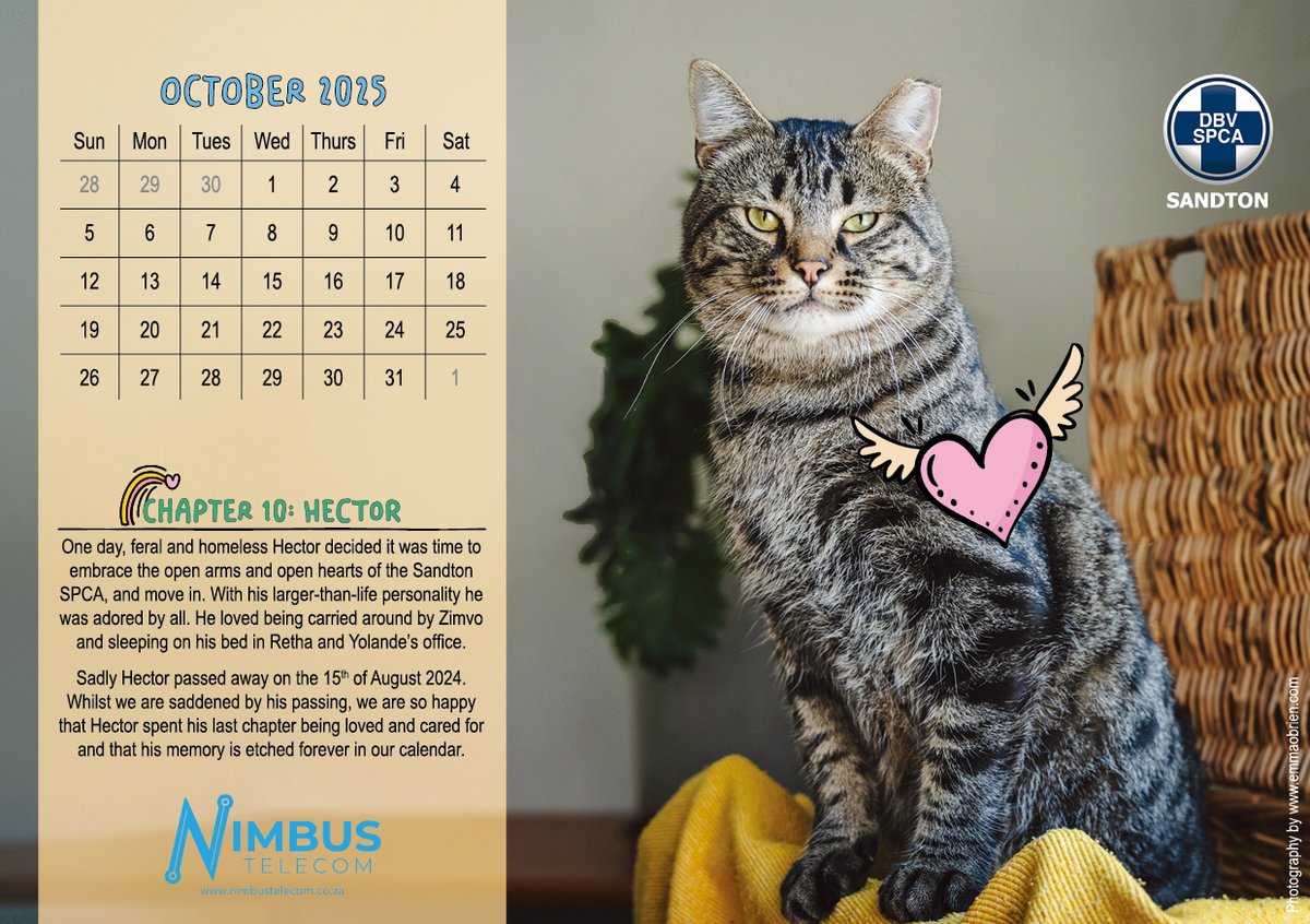 Sandton SPCA tweet media