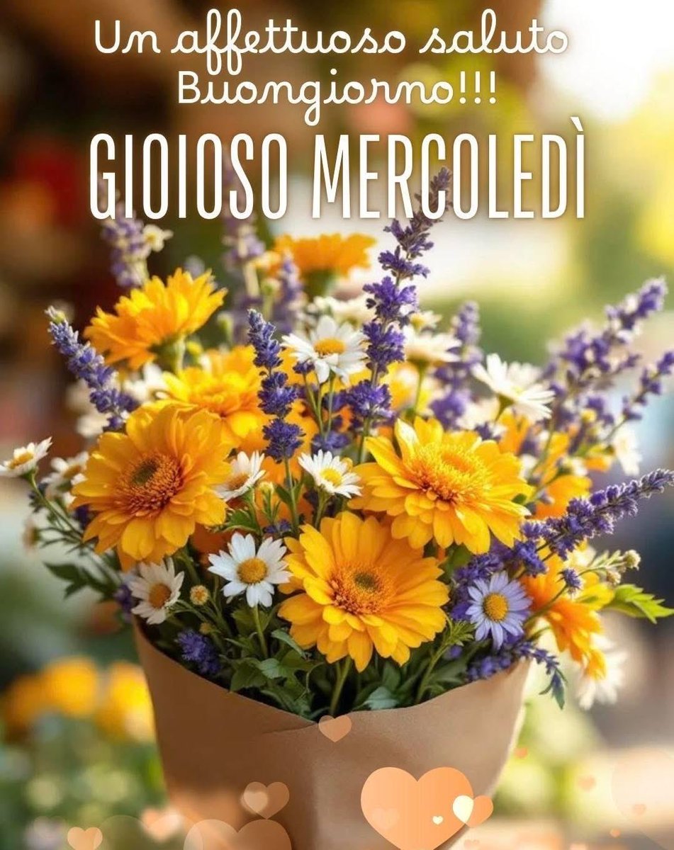 RITABIANCHi56 tweet media