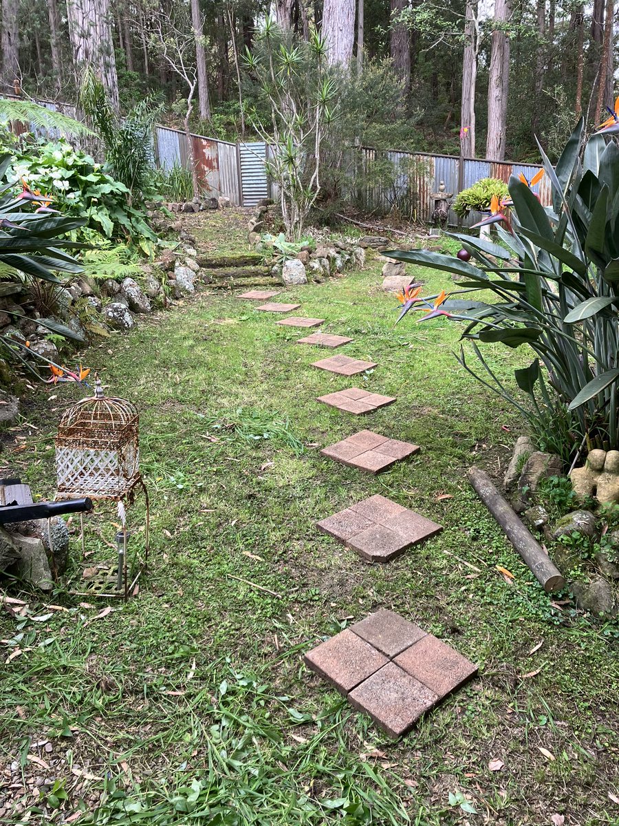 zeekdrs's tweet image. Rambling down the garden path