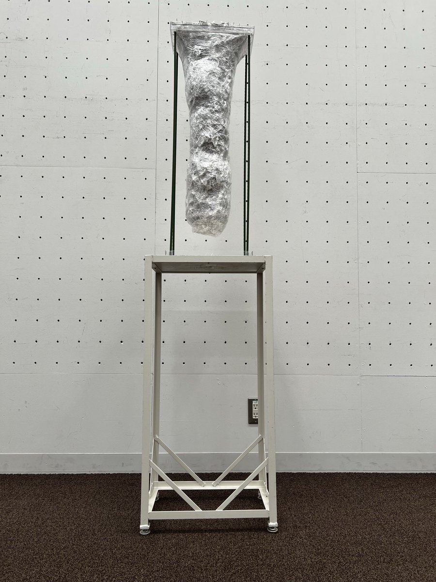 東京都美術館で展示が始まります

この大きな繭のような作品を会期中4本のイボ竹が支え切ってくれることを祈るばかりです

会期は10/08(水)-10/14(月) 9:30-17:00
(最終日は14:00まで)

#東京展
#東京都美術館
#美術の祭典東京展