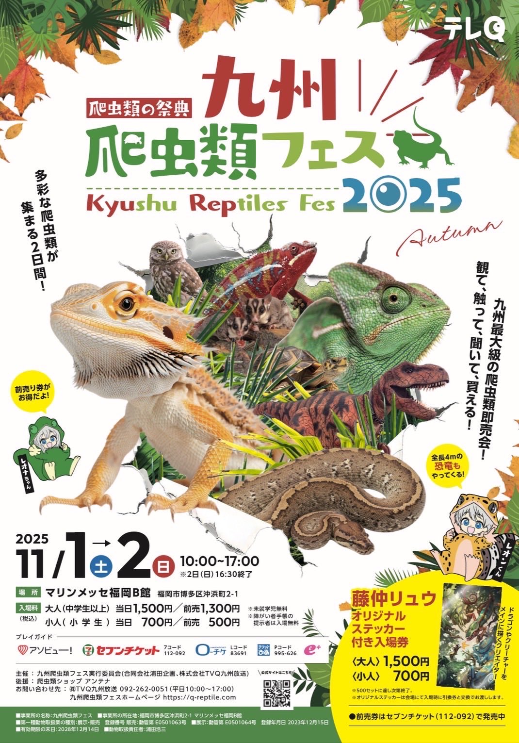 爬虫類用品色々 爬虫類ショップCOLORS(カラーズ)