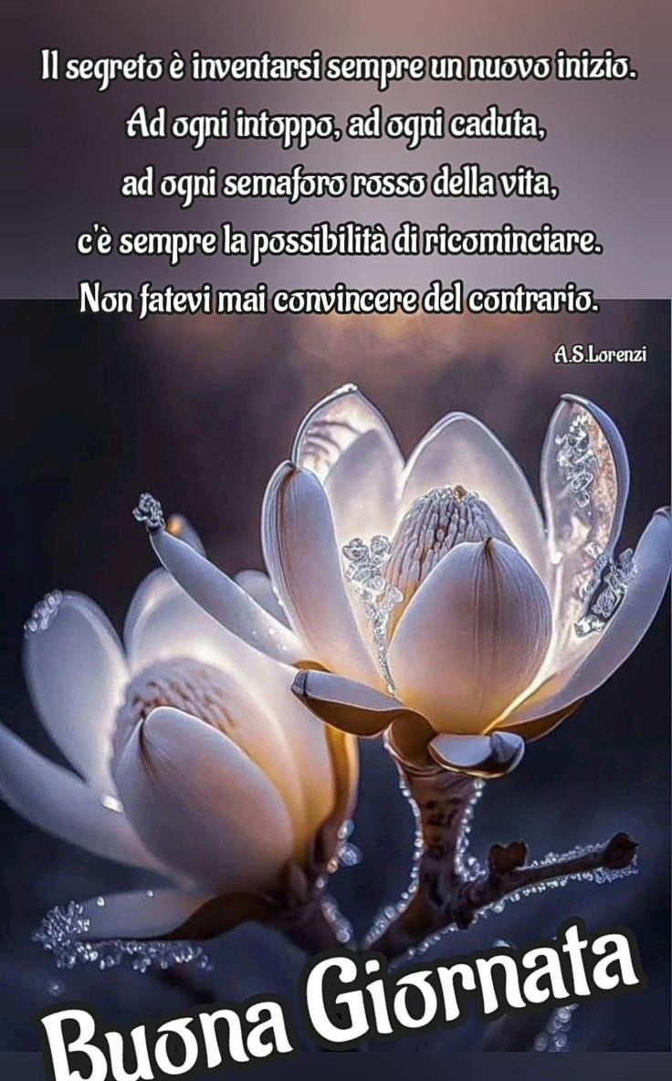 Buongiorno buona giornata.