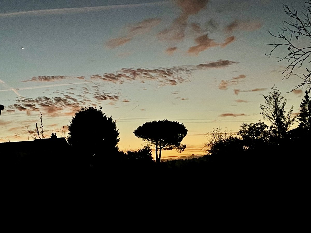Sunrise in France 🇫🇷 <a href="/AlysonMeadowcr1/">Alyson Meadowcroft, in memory of Macey, RIP 🌈.</a> <a href="/WgsCmc/">Inca</a> <a href="/MunchPudding/">Munch Pudding™️ 🐈‍⬛ ✌🏼 🇺🇦 🇵🇸</a> <a href="/erics_escapades/">Eric</a> <a href="/RupeeVon/">Rupee Von Gingerballs</a> @