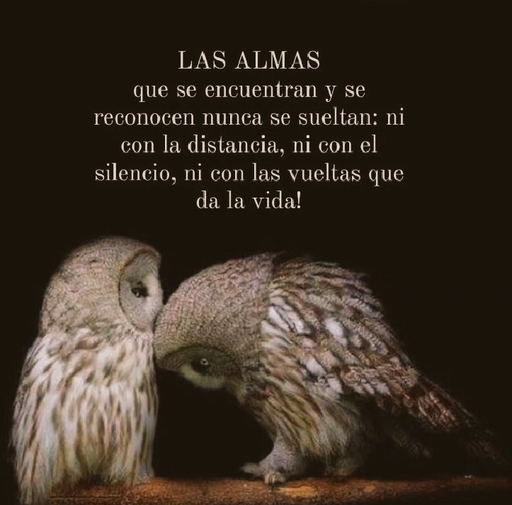 Hanna Arranz (@hannaarranz) on Twitter photo 