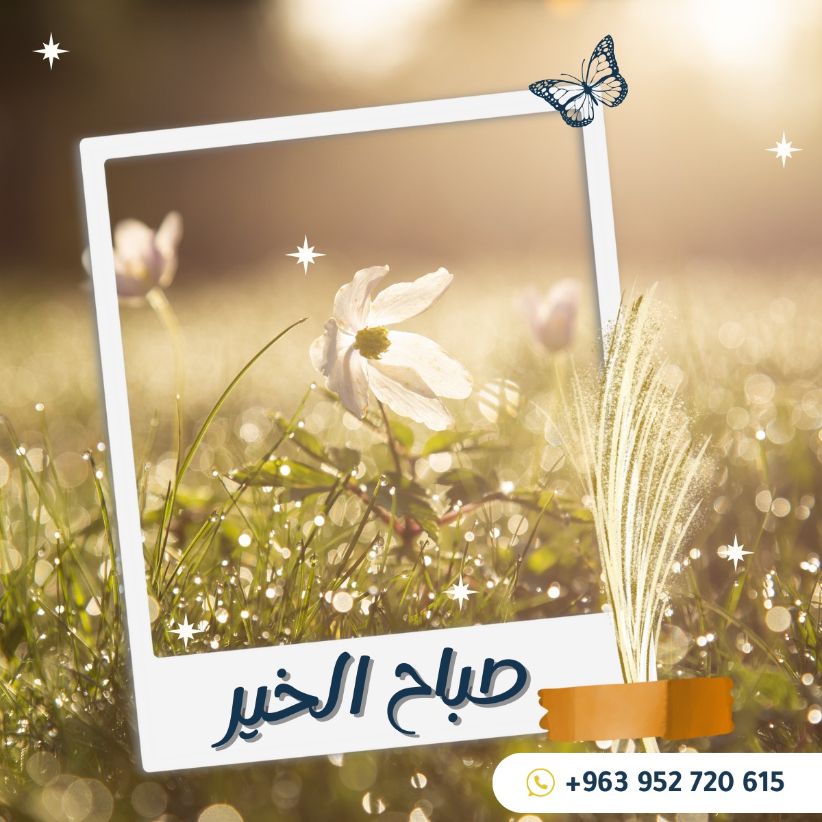 SarahProgrammer's tweet image. #صباح_الخير