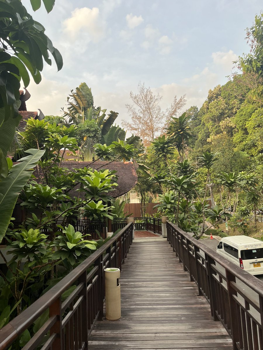 beanwi ⛩️ tweet media