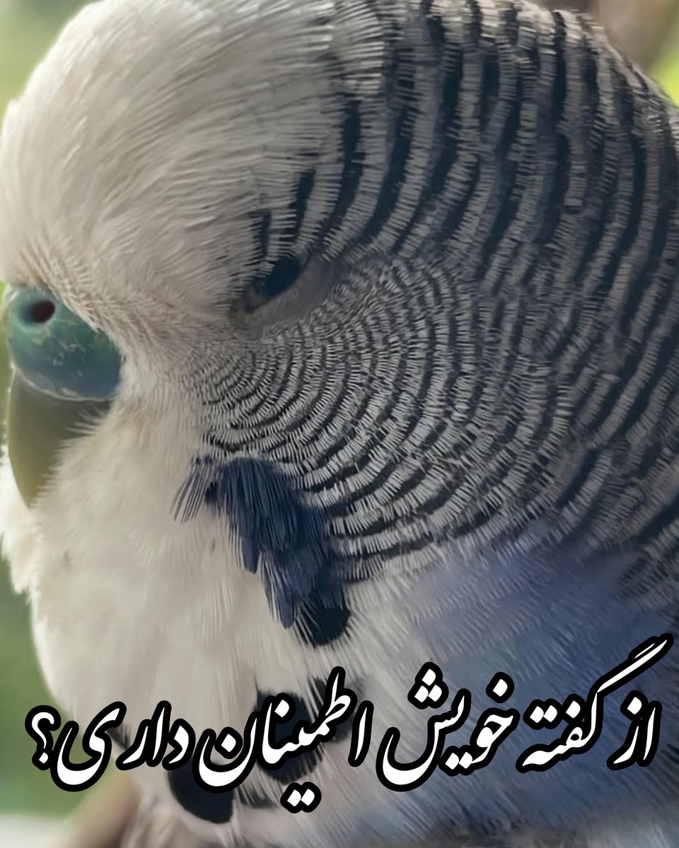 🇺🇲viSHəs🇮🇷 tweet media