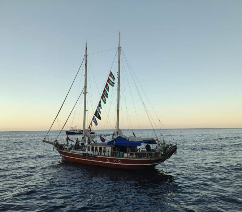 How many 5kg sacks of rice, beans and maize do you think would fit on this little boat?

#SumudFlotilla #auspol #GretaThunberg