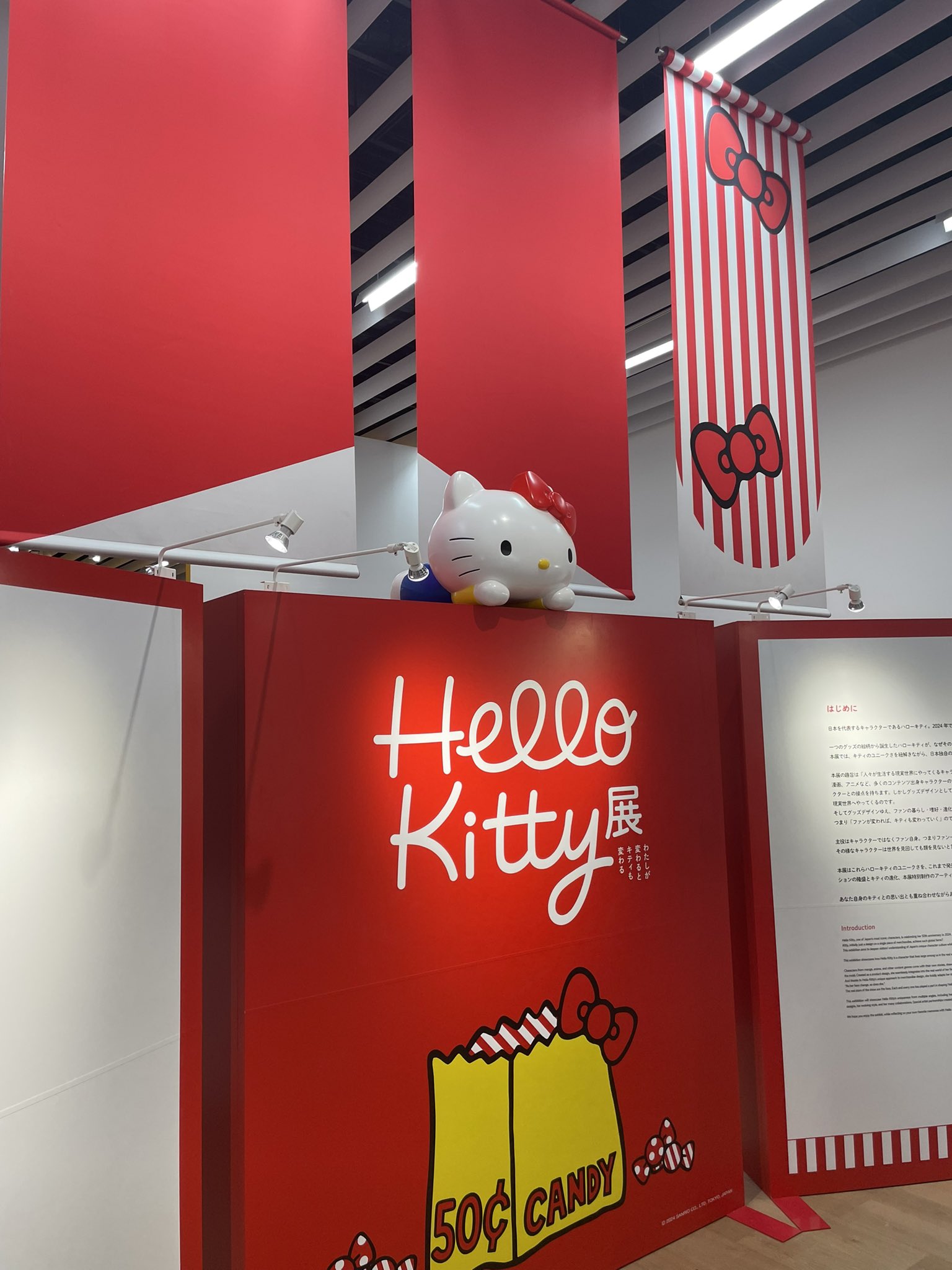 まぁちゃん on X: 