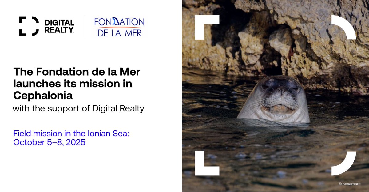 🦭 Protecting the Mediterranean monk seal — one of the world’s most endangered marine mammals — with <a href="/FondationMer/">Fondation de la Mer</a>.
At Digital Realty, a responsible digital future also means caring for our planet.
Proud to support a mission in the Ionian Sea.
#ESG #Sustainability #Biodiversity