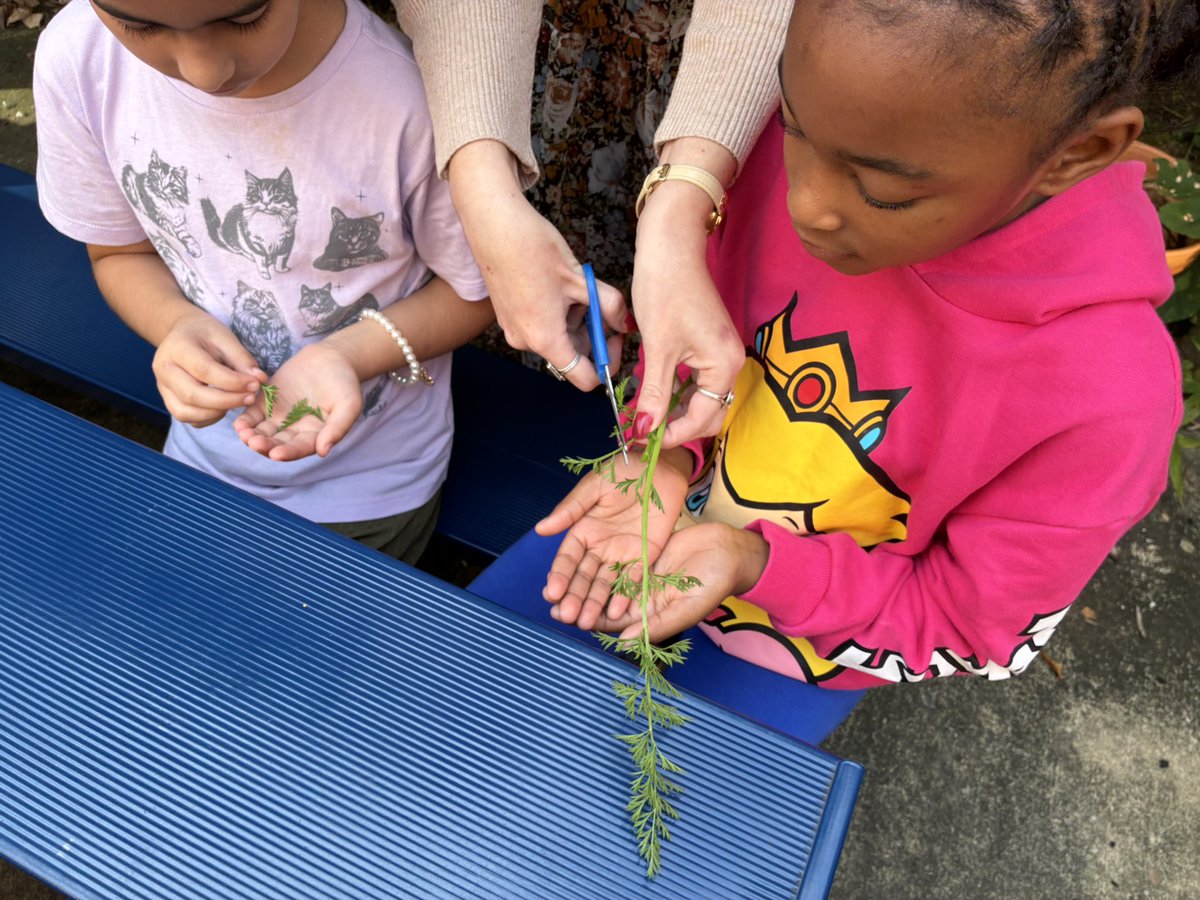 ESilverSprCSL's tweet image. East Silver Spring’s 2nd graders tasted their own homegrown carrots & leaves from The Panda Patch! Also revisited composting & made a connection to their daily composting during lunch with our community volunteer & Master Gardener. @CSconnect_MCPS @csspecialist77