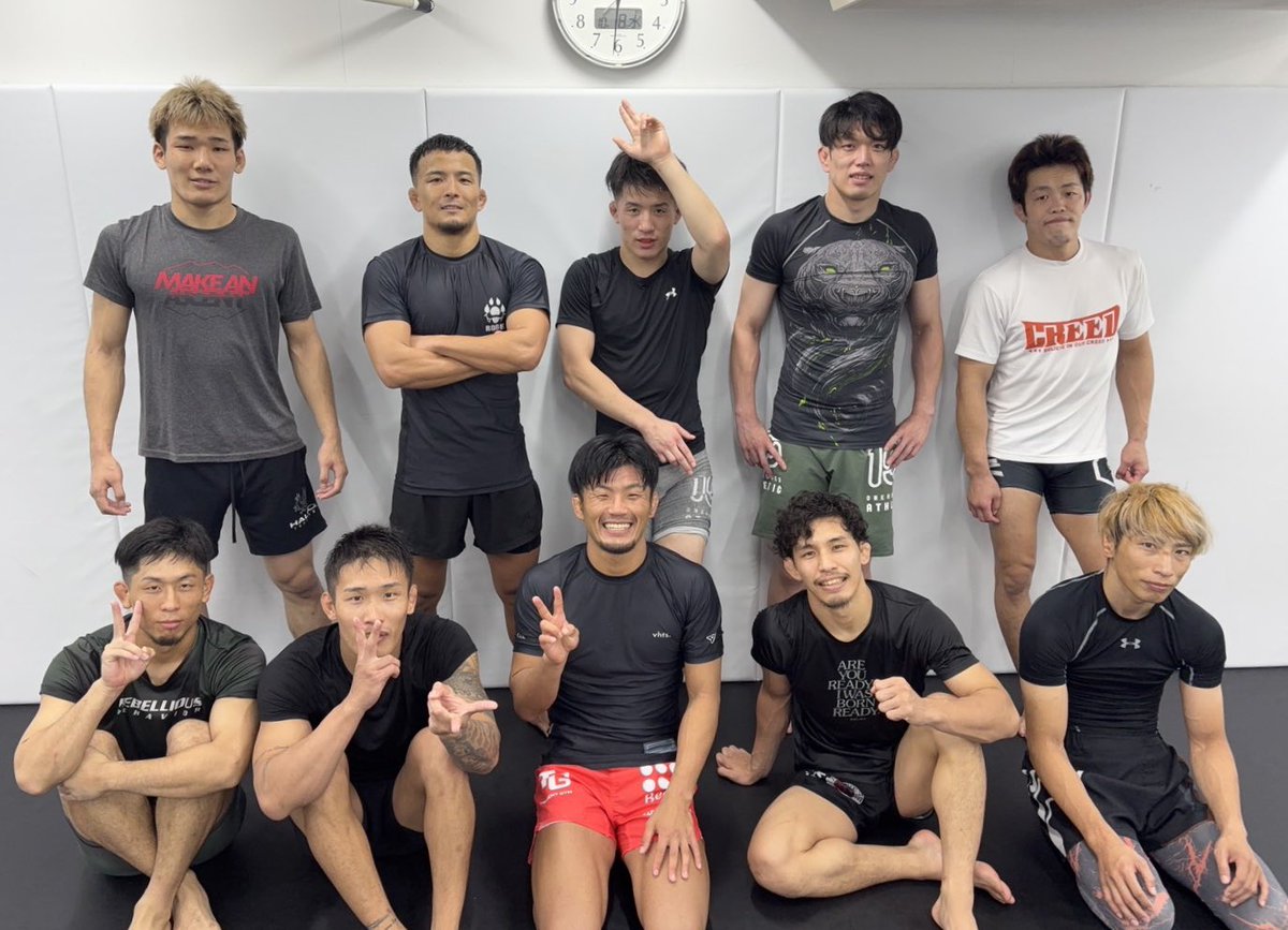 🤼🤼🤼🤼🤼