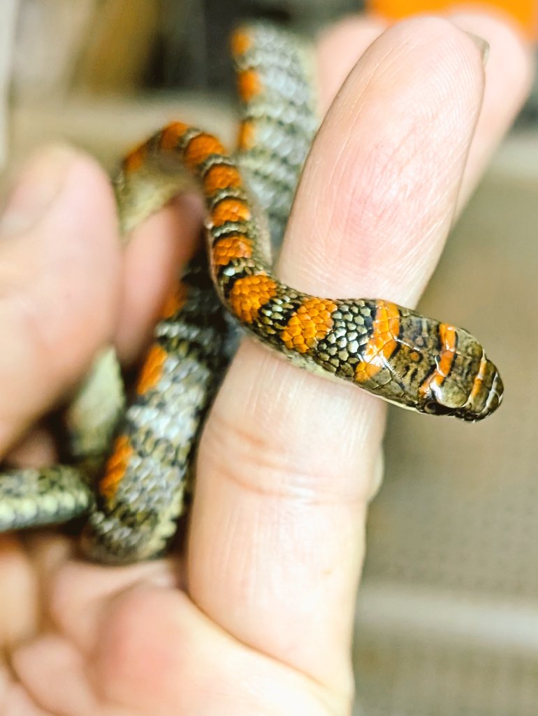 93 (@93_T39) / Posts / X