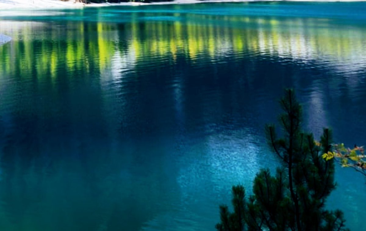 في الثّقة مجسّات للإنزواء للاقارب

خرافة البنيان تابعا خياله

محراث صدى يبعث صوتك المعيار للكون

همسات تشرق في الظّلال ثقة

#هاشم_ذياب