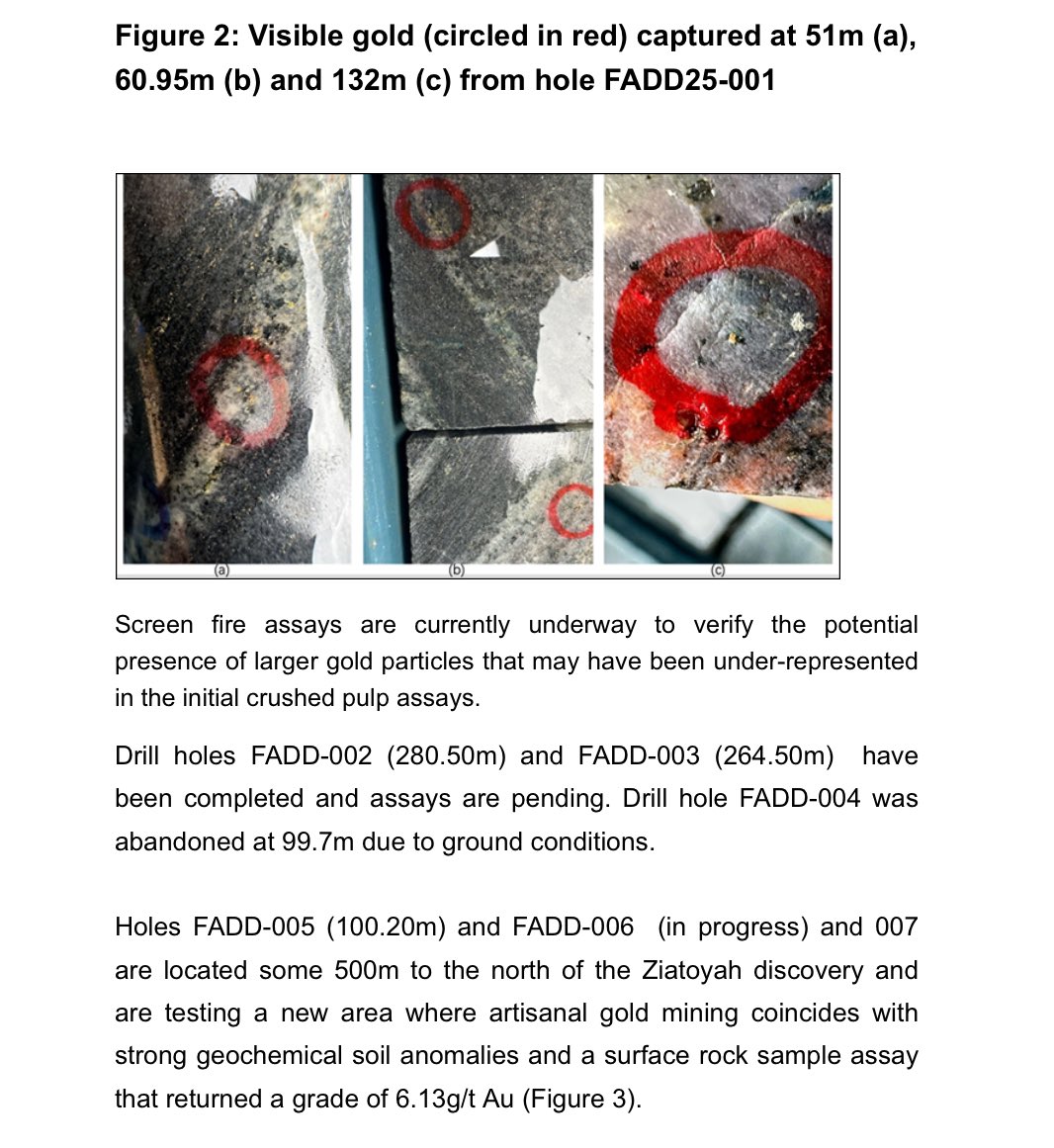 RedditDeluxe's tweet image. Very positive results from the first Nimba gold assays. #HAMA $HASTF @GoldHamak 

Nick Thurlow, Executive Chairman of Hamak Strategy:

"We are greatly encouraged by the wide intersections of gold mineralisation returned from the first hole assay results, which confirm the depth…
