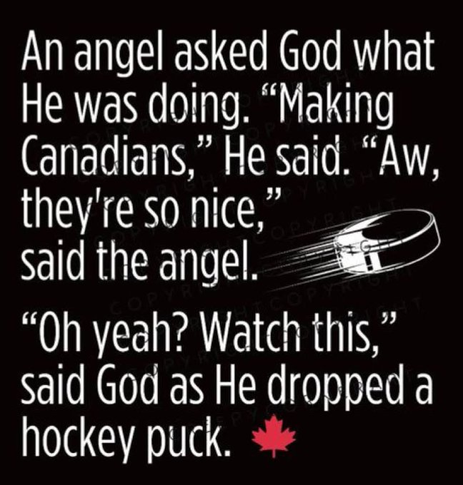 lisahsmithlhs's tweet image. Go #Leafs GO!  #LeafsForever  🏒🥳🍻😆🤘🏼🍁