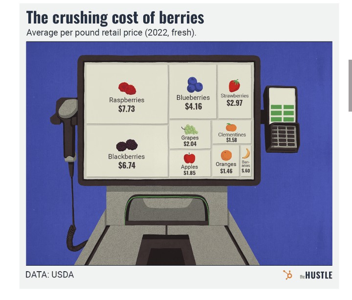 OmniMACS's tweet photo. Should have been a berry farmer 🤔 https://t.co/YELoIkpCFz