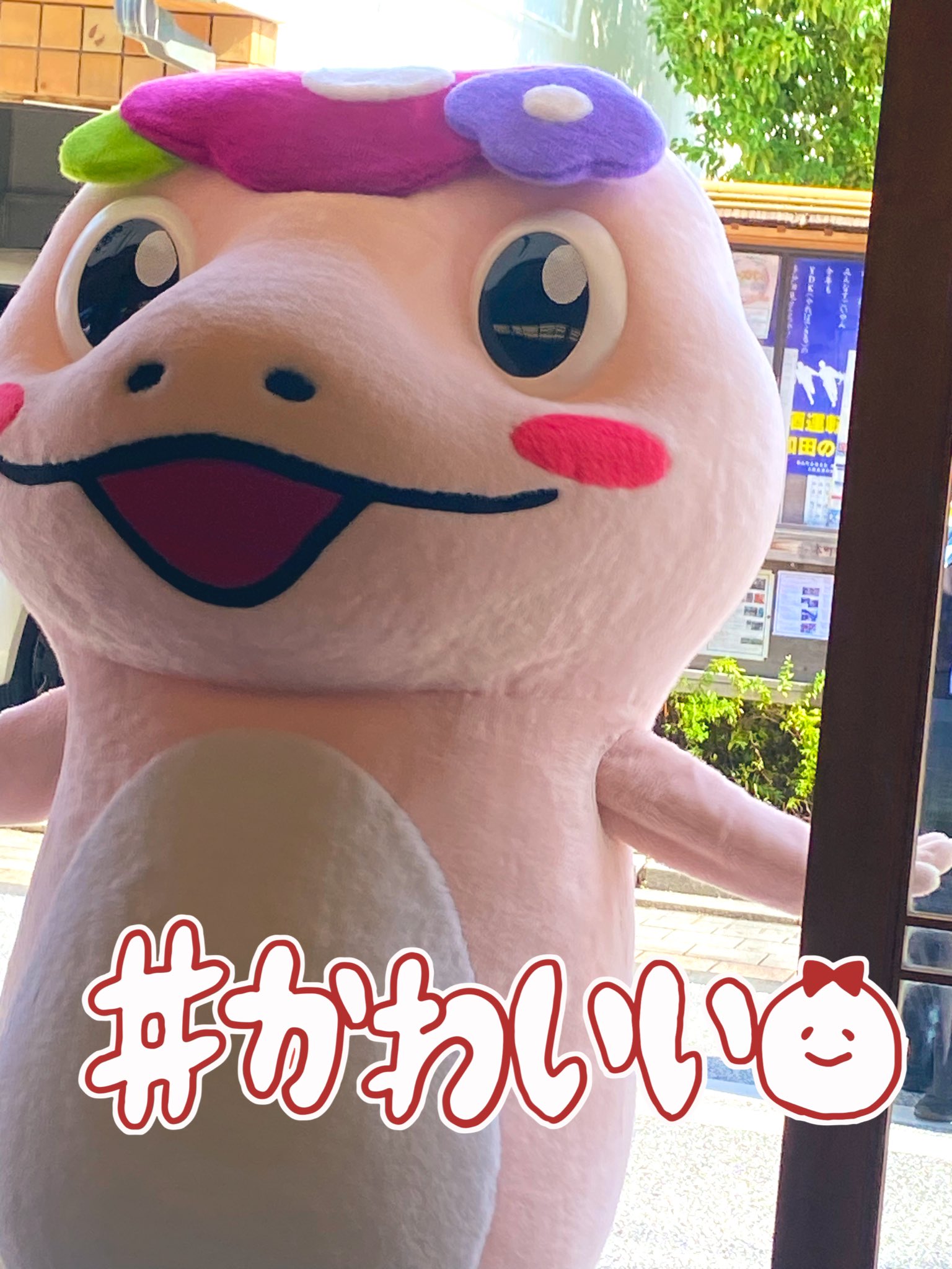 りょっちページ りょっち／骨格ベクトレライダー💀／三河の民になりました