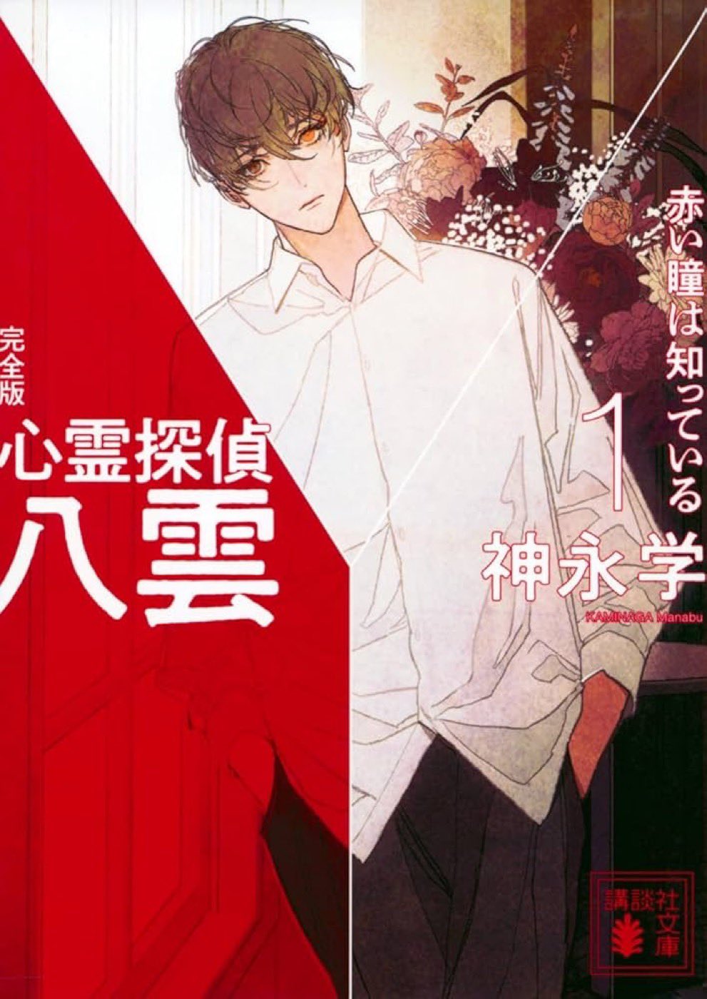 心霊探偵八雲 神永学 オリジナルブックカバー 小冊子付き 雲 未使用