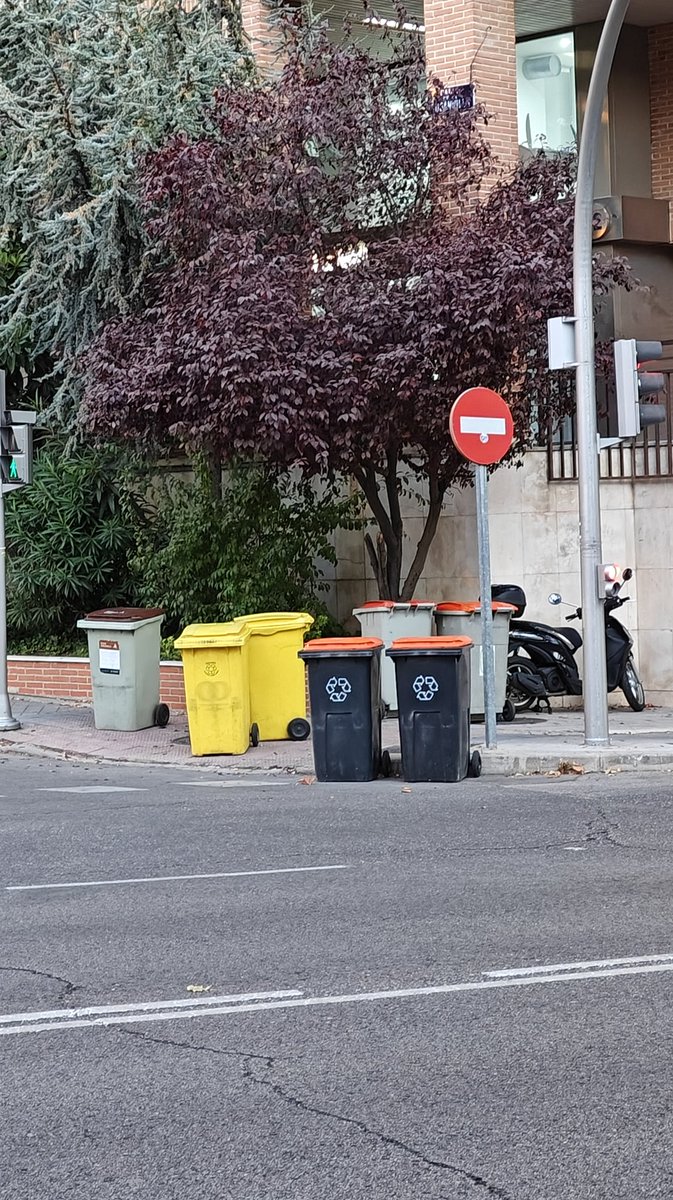 MadridFree tweet media