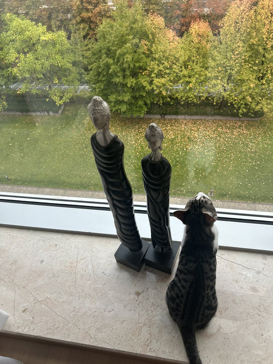 Minnaklar da yağmuru izliyor😍